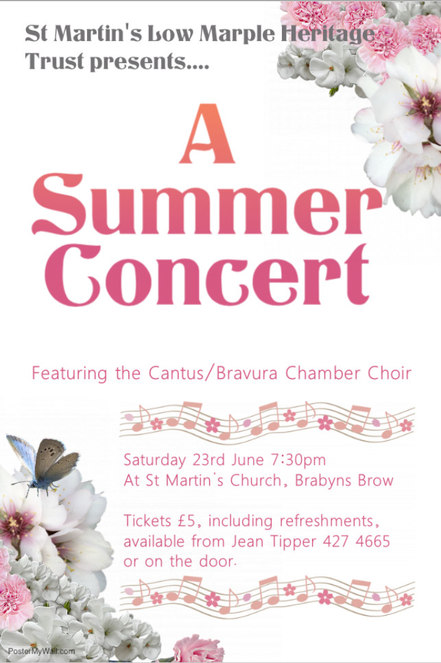 Summer Concert Poster